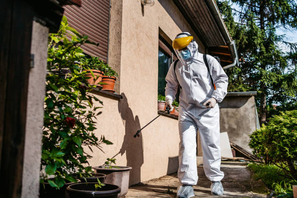 Reliable Hertford, NC Pest Control Solutions