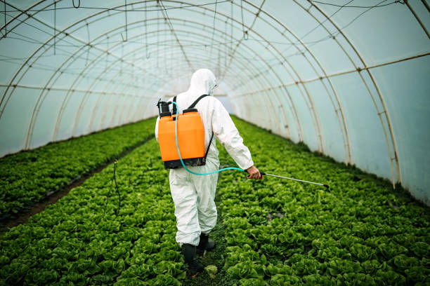 Best Pest Prevention Services  in Hertford, NC