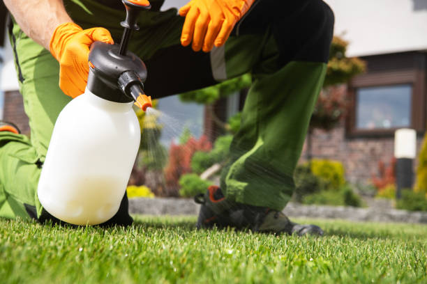 Best Flea Control Services  in Hertford, NC