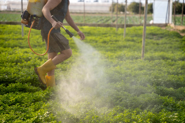 Best Insect Control  in Hertford, NC