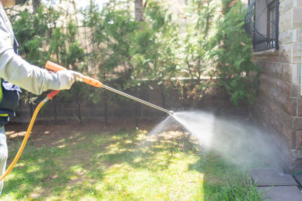 Best Affordable Pest Control Services  in Hertford, NC