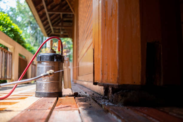 Best Pest Inspection Near Me  in Hertford, NC