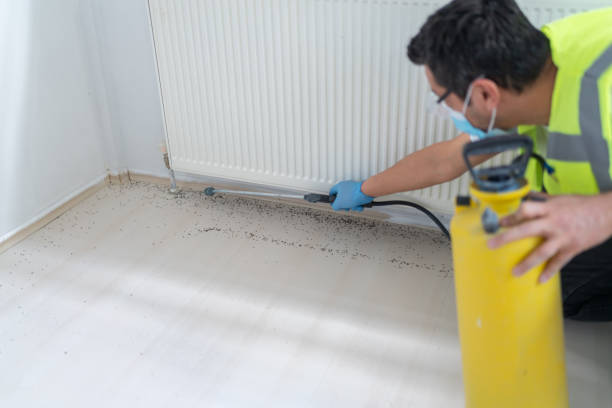 Best Affordable Pest Control Services  in Hertford, NC